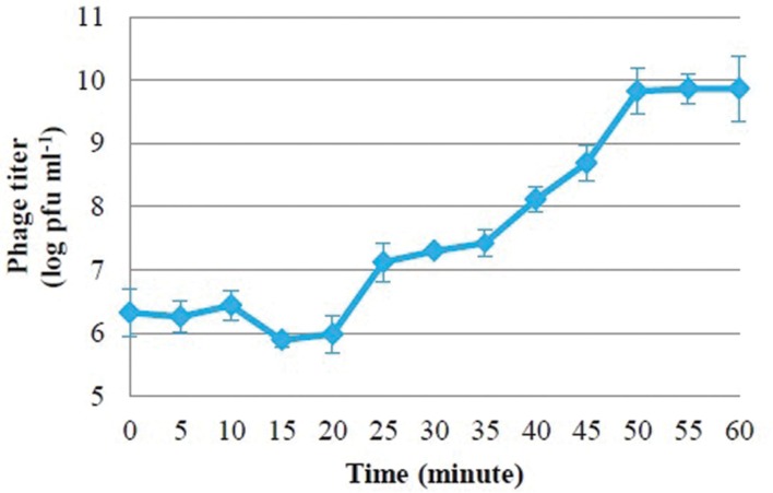 FIGURE 2