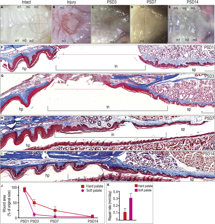 Figure 3