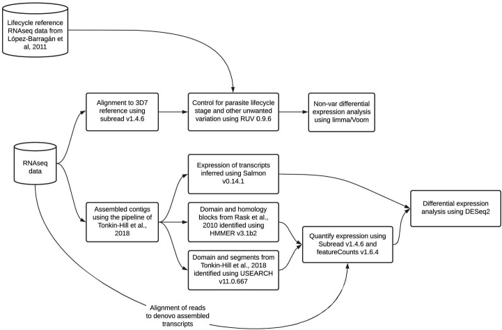 Figure 2—figure supplement 2.