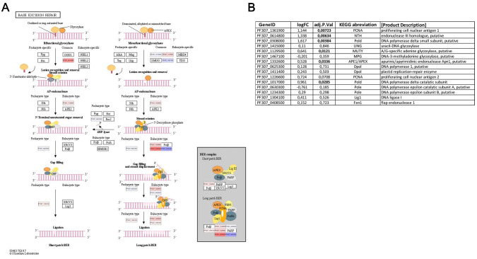 Figure 2—figure supplement 3.