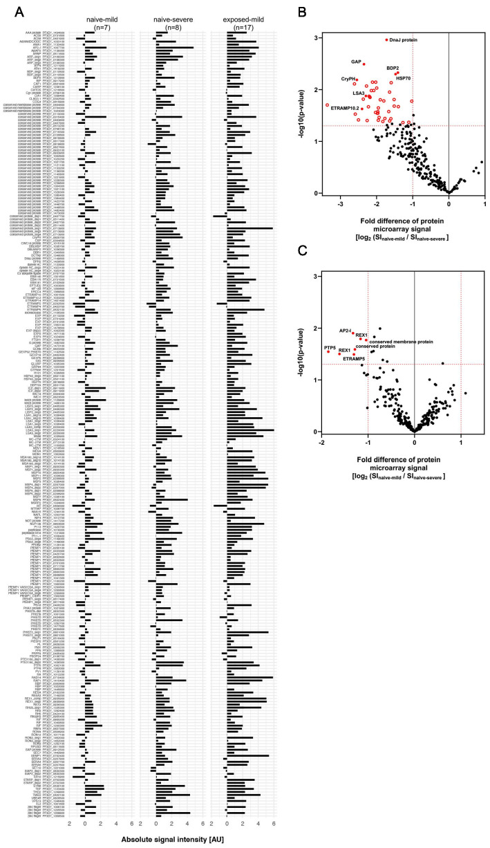 Figure 1—figure supplement 1.