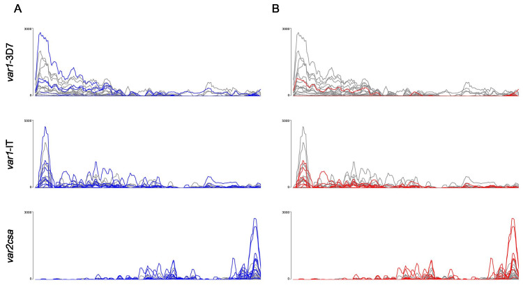 Figure 3—figure supplement 1.