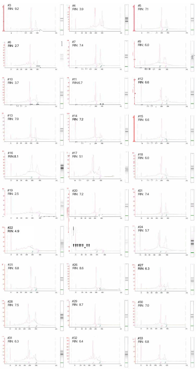 Figure 2—figure supplement 4.