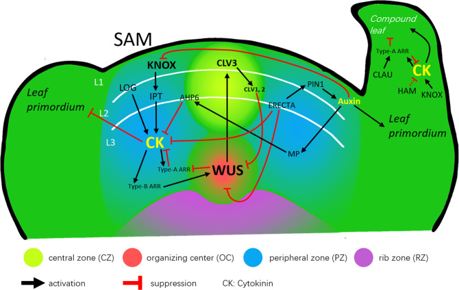 Fig. 2