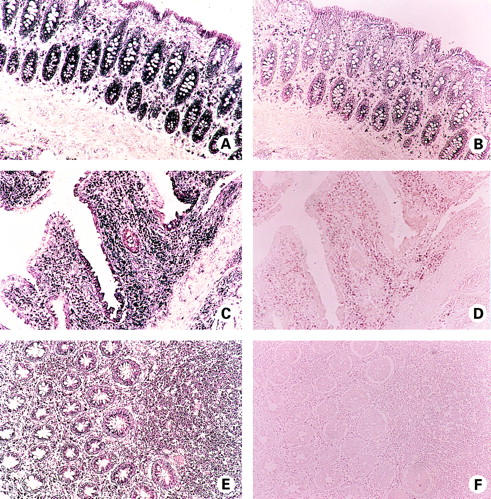 Figure 1  