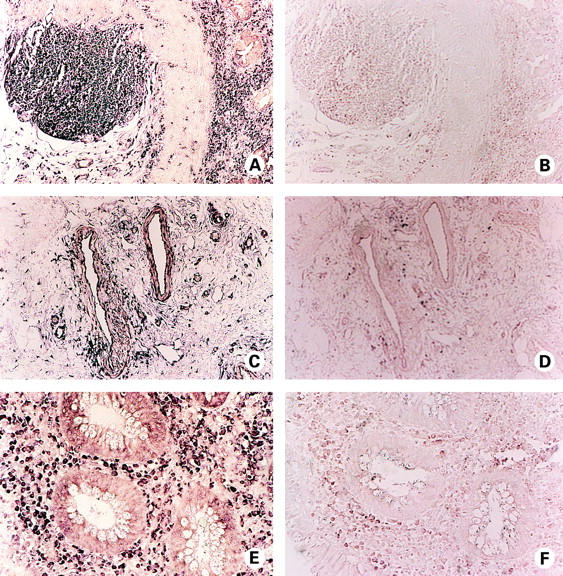 Figure 3  