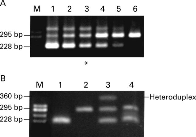 Figure 5  