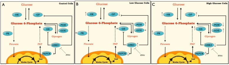 Figure 9