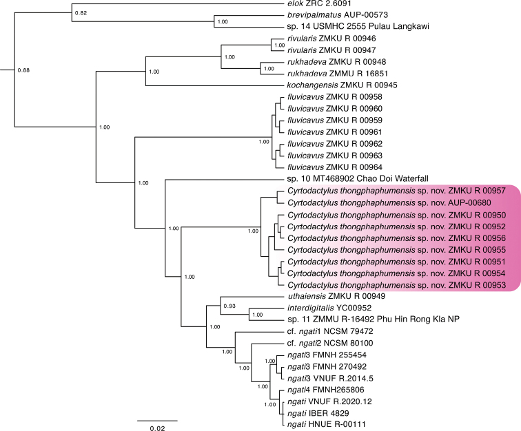 Figure 2.