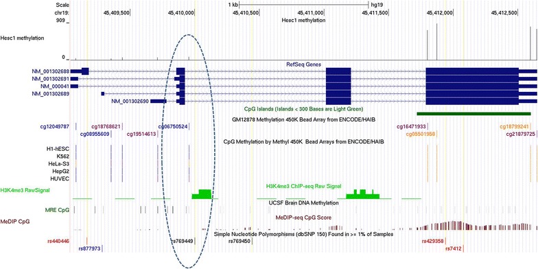 Fig. 6