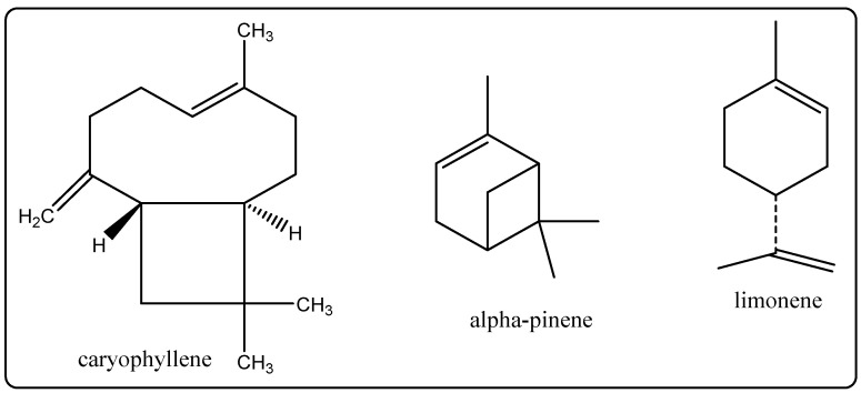 Figure 8