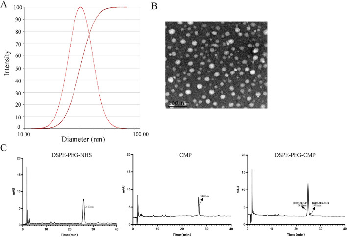 Fig. 3