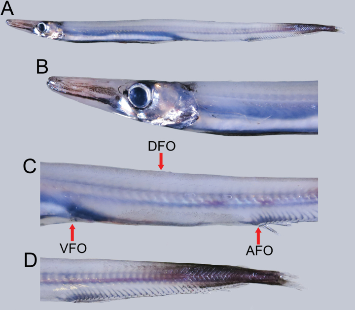 Figure 3.