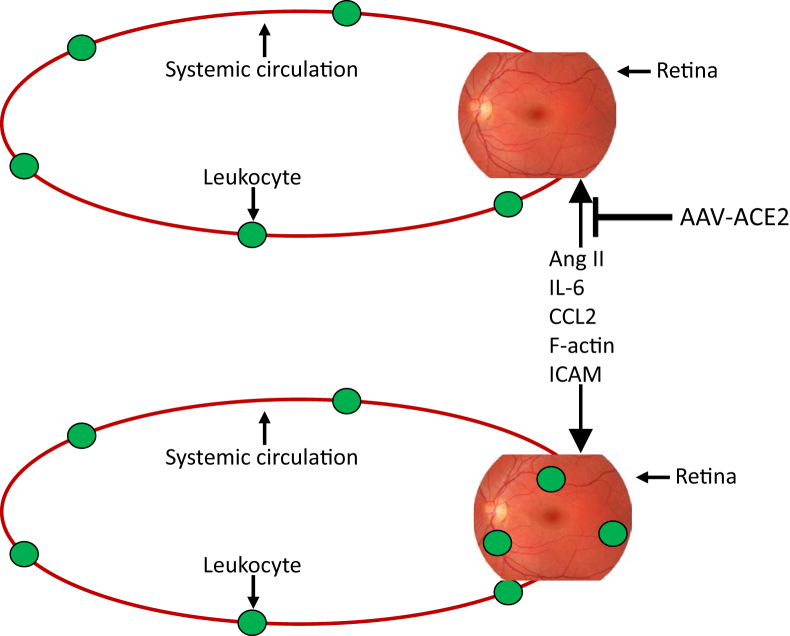 Figure 7