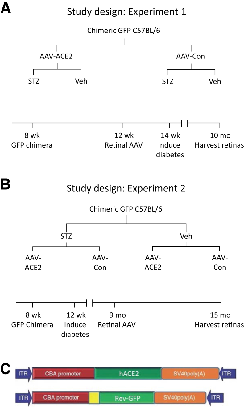 Figure 1