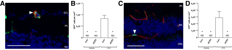 Figure 6