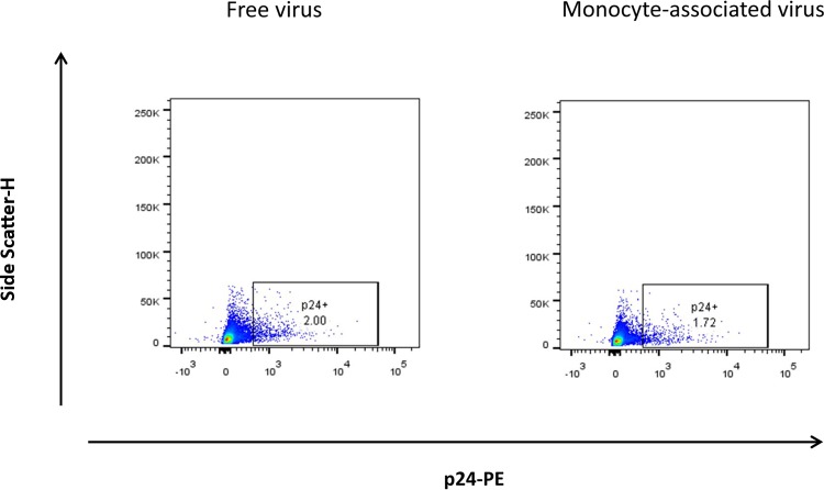 FIG 2