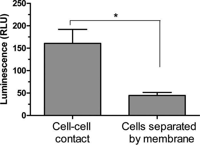 FIG 6