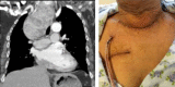 Fig. 2