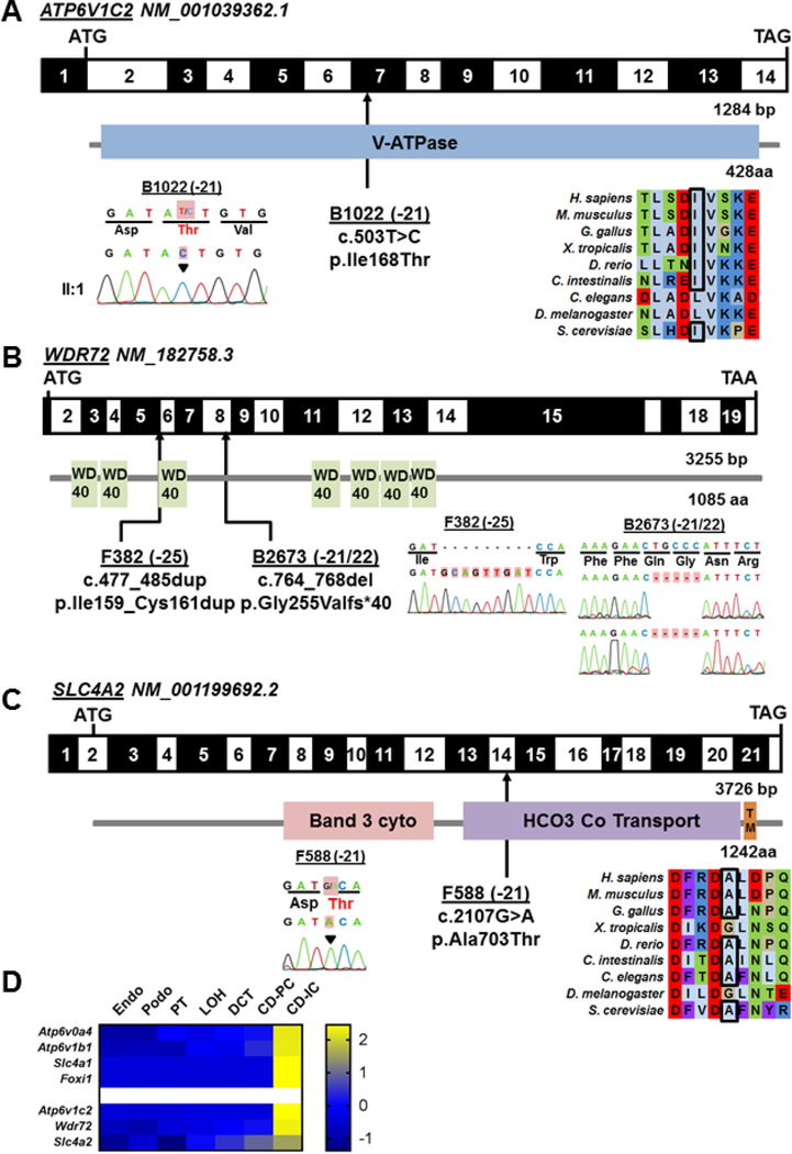 Figure 2: