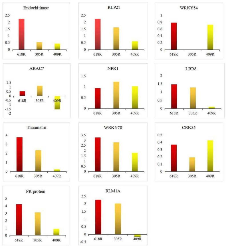 Figure 6