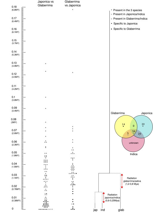 FIG. 2.—