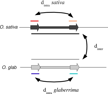 FIG. 1.—