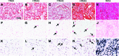 <b>FIG. 4.</b>