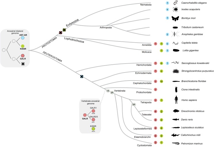 Fig 11