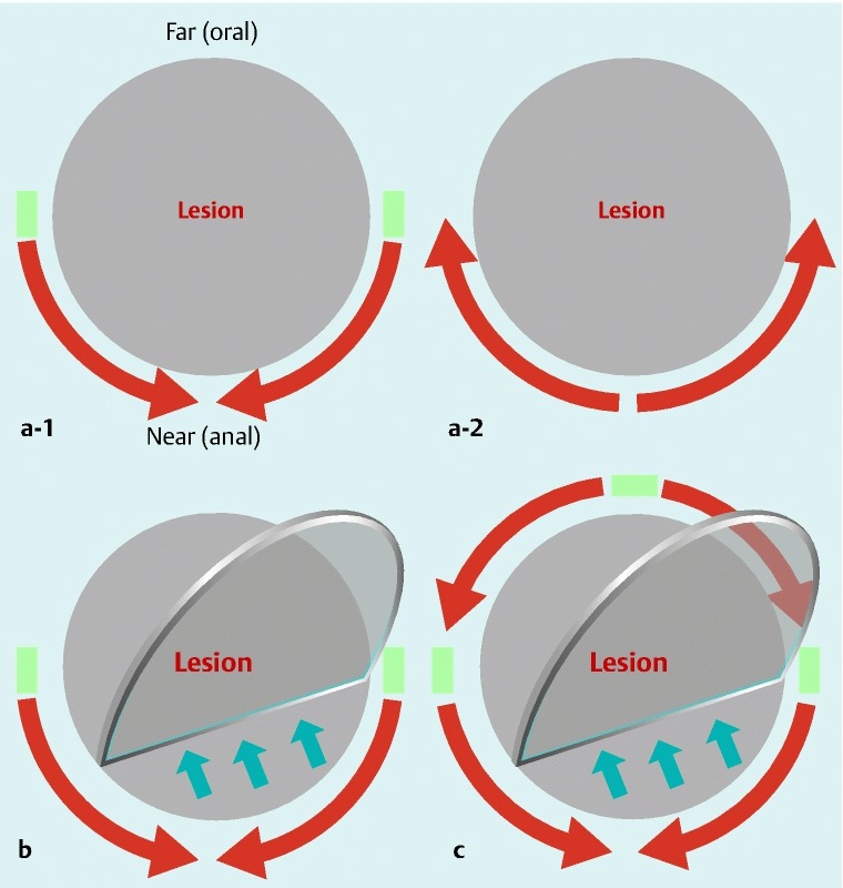 Fig. 4