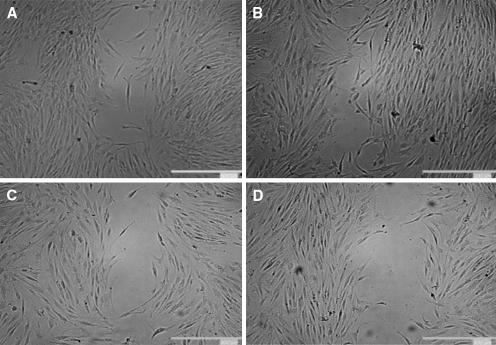 Fig. 7