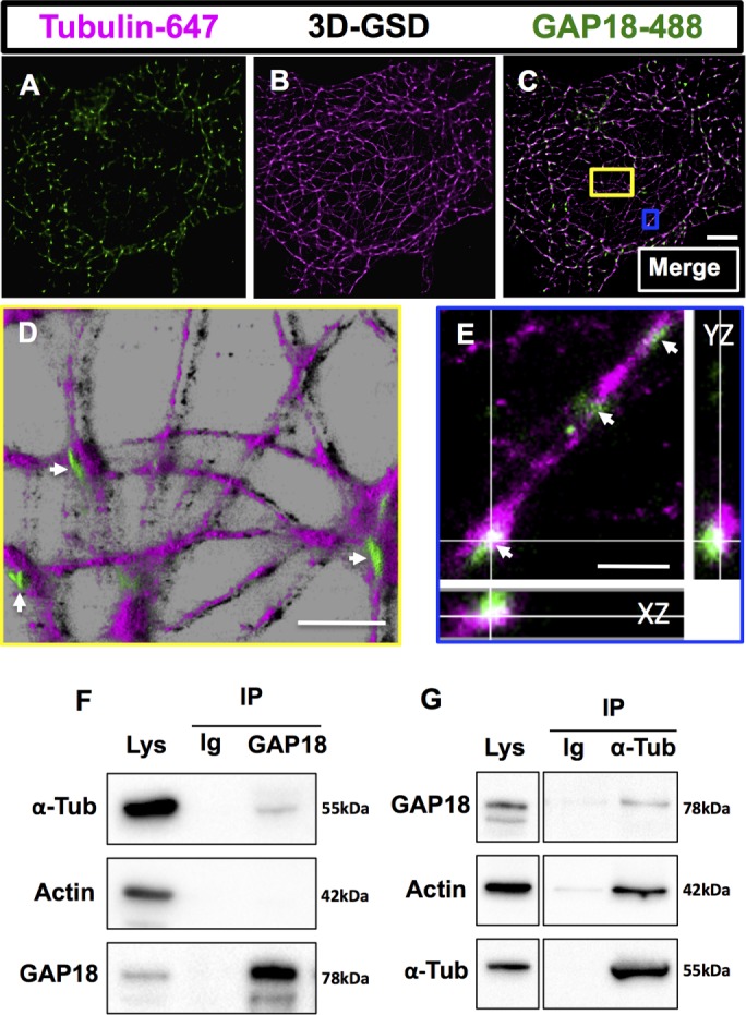 FIGURE 3: