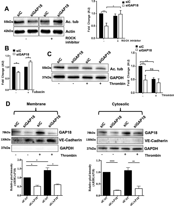 FIGURE 7: