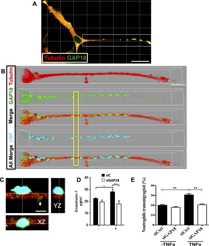 FIGURE 6: