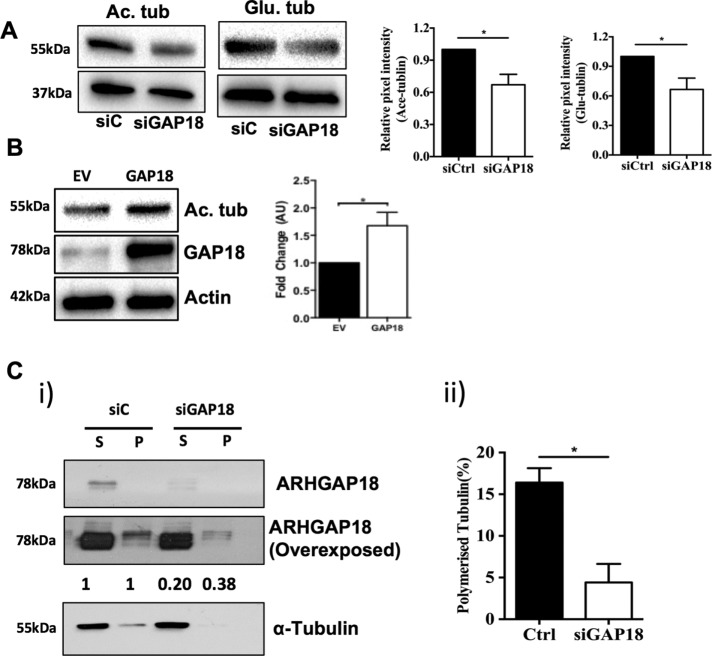 FIGURE 5: