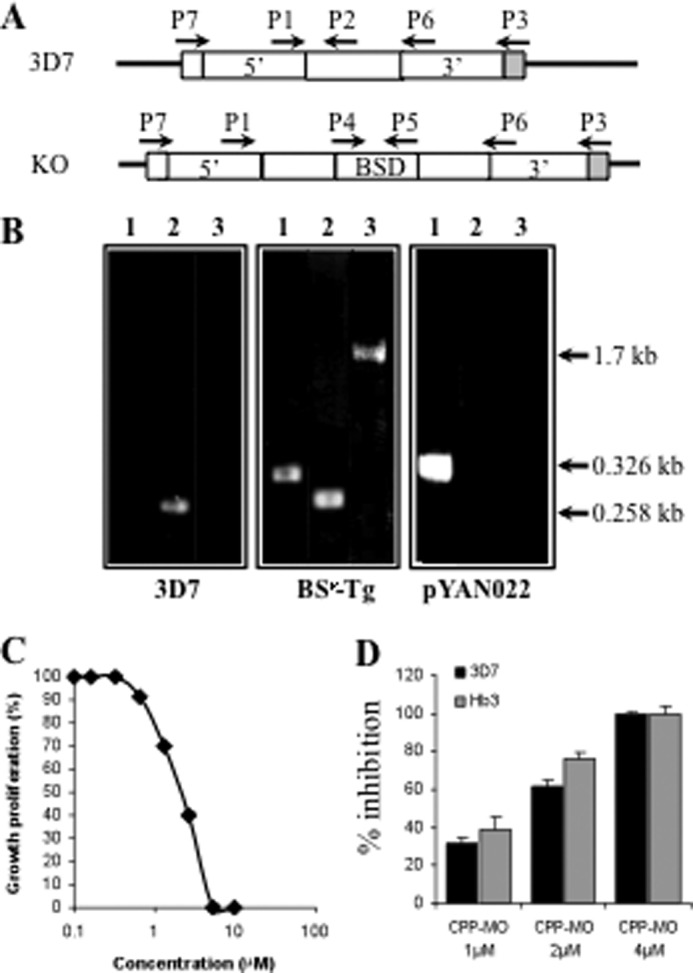 FIGURE 4.