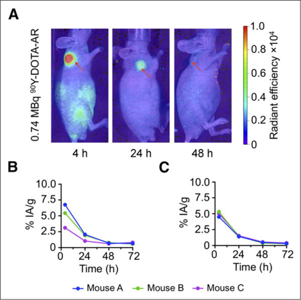 FIGURE 6