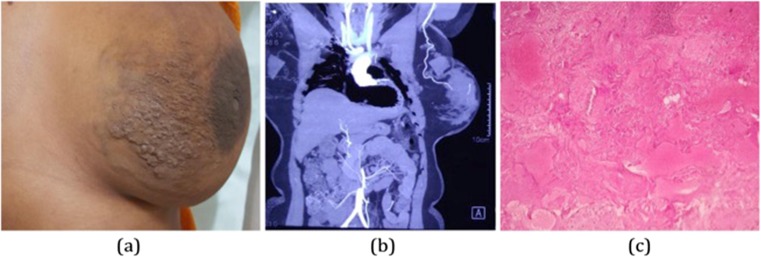 Fig. 7