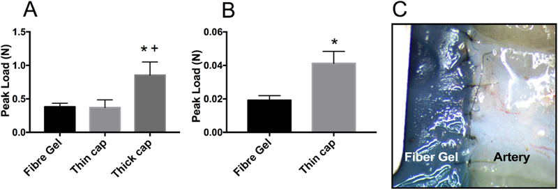 Fig. 3.