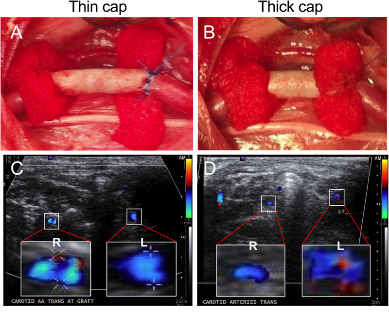 Fig. 6.