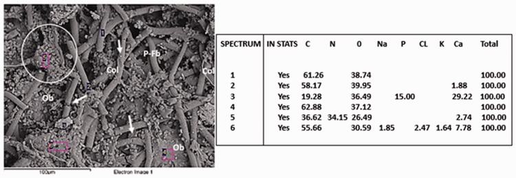 Figure 10.