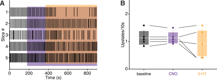 Figure 5—figure supplement 1.