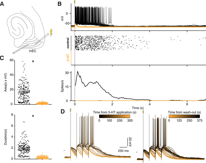 Figure 3—figure supplement 2.