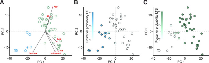 Figure 3—figure supplement 8.