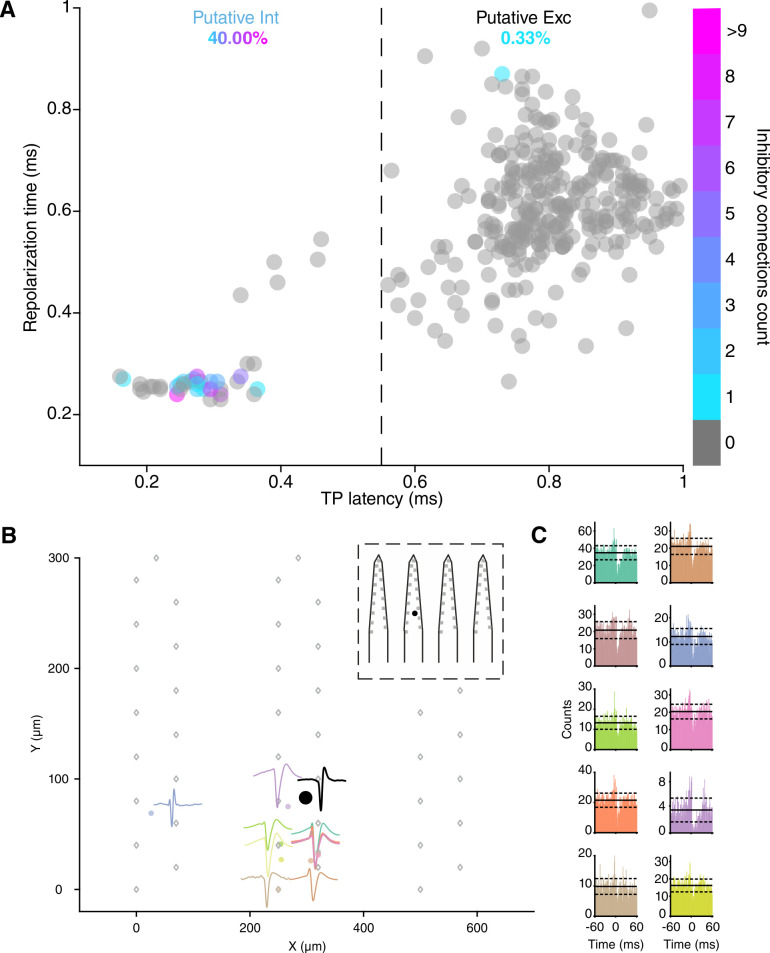 Figure 2—figure supplement 1.