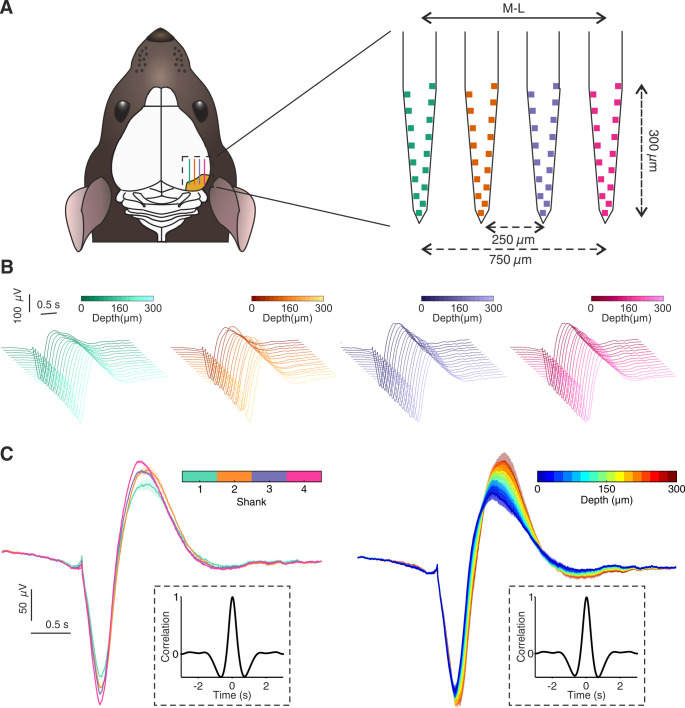 Figure 1—figure supplement 1.