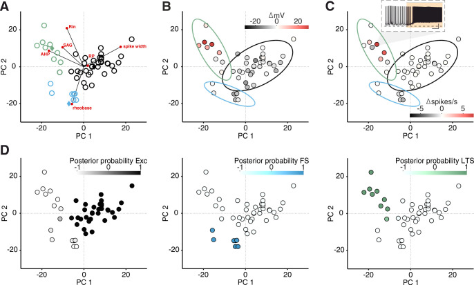 Figure 3—figure supplement 6.