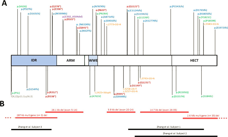 Fig. 1