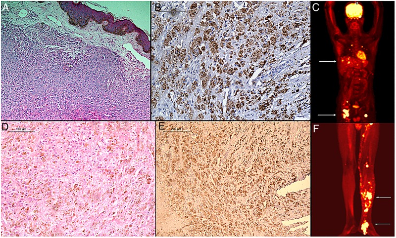 Figure 2