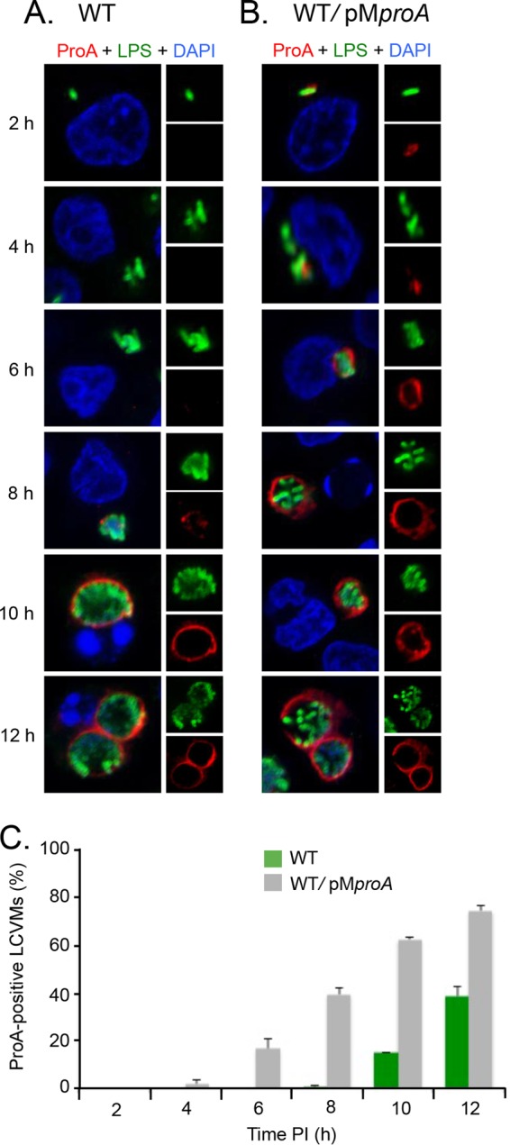 FIG 3 